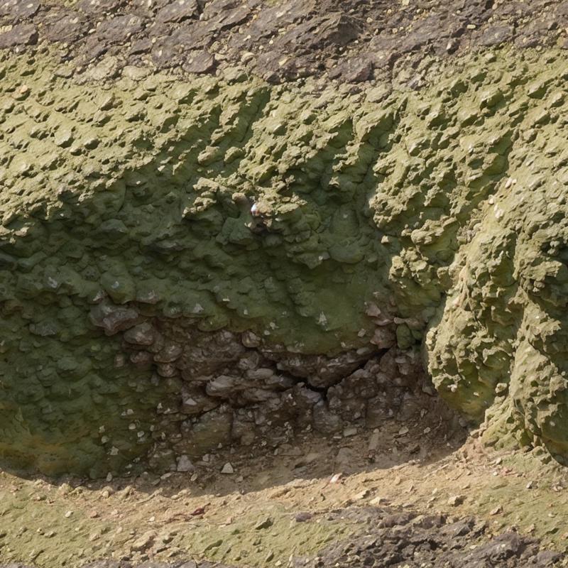 63419-926217883-pbr texture (wet mossy_1.1) dim dark cracked sandstone natural boulders cracking , raw, ambient light.png